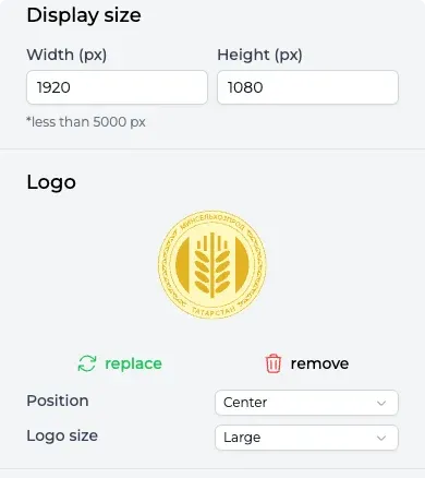 Display size and logo settings
